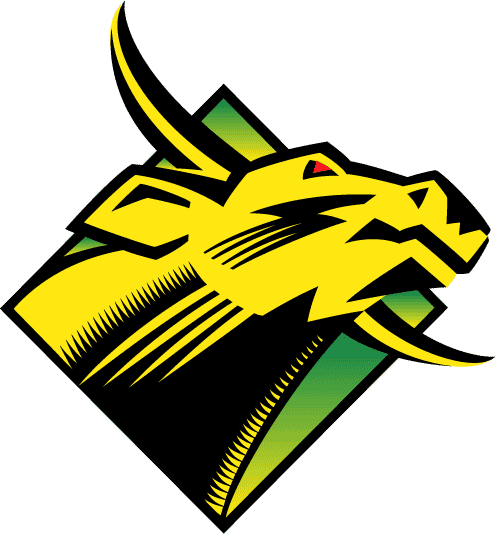 South Florida Bulls 1997-2002 Primary Logo t shirts DIY iron ons